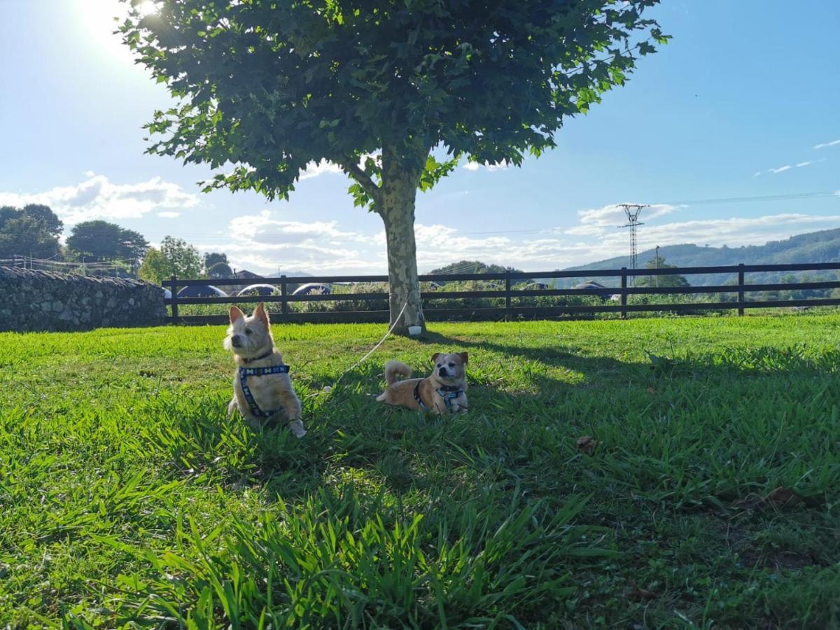 Argomilla El Espesedo De Cabarcenoゲストハウス エクステリア 写真
